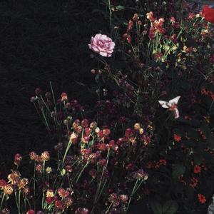 美女被操逼动漫
